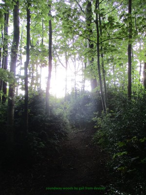 roundway woods