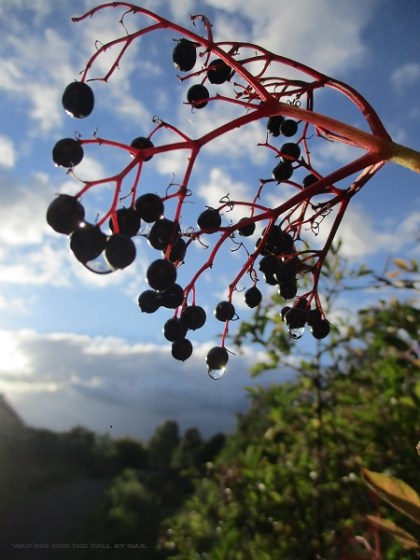 Waiting for the Fall