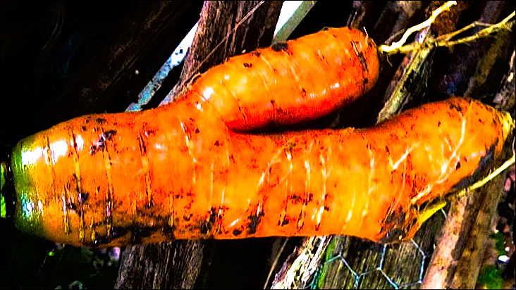 14732283_10154665198902938_4003508327600405940_n