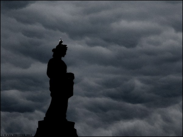 IMG_0867-01-01 - Copy